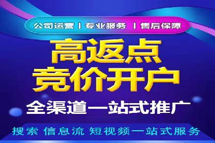 百度搜索推广实战经验：经典案例剖析